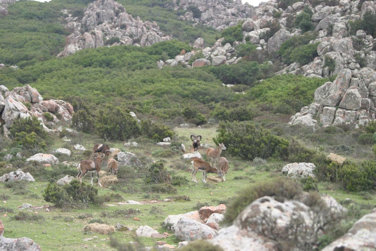 B&B Il Dodo Monastir Exteriör bild